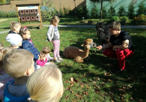Dzieci słuchają o warunkach życia alpaków.